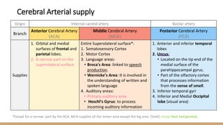 Origin Internal carotid artery Basilar artery
Branch
Anterior Cerebral Artery
(ACA)
Middle Cerebral Artery
(MCA)
Posterior Cerebral Artery
(PCA)
Supplies
1. Orbital and medial
surfaces of frontal and
parietal lobes.
2. A narrow part on the
superolateral surface.
Entire Superolateral surface*:
1. Somatosensory Cortex
2. Motor Cortex
3. Language areas:
• Broca's Area: linked to speech
production.
• Wernicke’s Area: It is involved in
the understanding of written and
spoken language
4. Auditory areas:
• Primary auditory area
• Heschl’s Gyrus: to process
incoming auditory information
1. Anterior and inferior temporal
lobes
2. Uncus:
• Located on the tip end of the
medial surface of the
parahippocampal gyrus.
• Part of the olfactory cortex
that processes information
from the sense of smell.
3. Inferior temporal gyri
4. Inferior and Medial Occipital
lobe (visual area)
*Except for a narrow part by the ACA, MCA supplies all the motor area except the leg area. (Snell) except foot and genitals
Cerebral Arterial supply
 