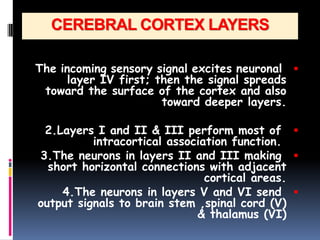 16- cerebral H physiology neurophysiology symposium2019 y2 first.pdf