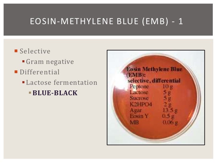 composition agar xld of 19 enterobacteriaceae chapter   16