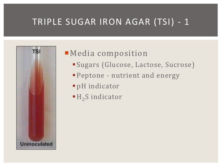 16 chapter_19__enterobacteriaceae