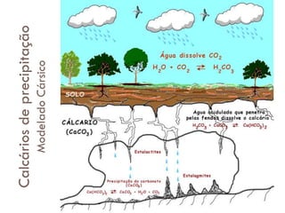 Modelado Cársico

Calcários de precipitação

 
