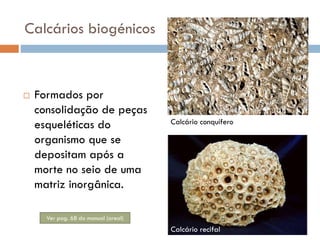 Calcários biogénicos



Formados por
consolidação de peças
esqueléticas do
organismo que se
depositam após a
morte no seio de uma
matriz inorgânica.

Calcário conquífero

Ver pag. 68 do manual (areal)

Calcário recifal

 