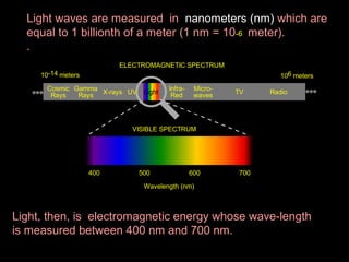 Light waves are measured in nanometers (nm) which are
equal to 1 billionth of a meter (1 nm = 10-6 meter).
.
ELECTROMAGNETIC SPECTRUM
10-14 meters

106 meters

Cosmic Gamma X-rays UV
Rays
Rays

Light

InfraRed

Microwaves

TV

Radio

VISIBLE SPECTRUM

400

500

600

700

Wavelength (nm)

Light, then, is electromagnetic energy whose wave-length
is measured between 400 nm and 700 nm.

 