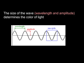 The size of the wave (wavelength and amplitude)
determines the color of light

 
