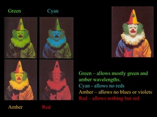 Green

Cyan

Green – allows mostly green and
amber wavelengths.
Cyan - allows no reds
Amber – allows no blues or violets
Red – allows nothing but red
Amber

Red

 