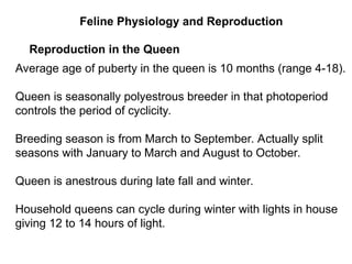 Polyesterous 16-Companion Animal-Cat Reproduction.ppt