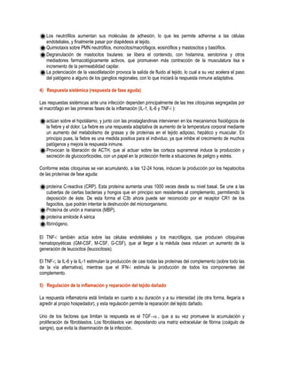 Los neutrófilos aumentan sus moléculas de adhesión, lo que les permite adherirse a las células
endoteliales, y finalmente pasar por diapédesis al tejido.
Quimiotaxis sobre PMN neutrófilos, monocitos/macrófagos, eosinófilos y mastoscitos y basófilos.
Degranulación de mastocitos tisulares: se libera el contenido, con histamina, serotonina y otros
mediadores farmacológicamente activos, que promueven más contracción de la musculatura lisa e
incremento de la permeabilidad capilar.
La potenciación de la vasodilatación provoca la salida de fluido al tejido, lo cual a su vez acelera el paso
del patógeno a alguno de los ganglios regionales, con lo que iniciará la respuesta inmune adaptativa.
4) Respuesta sistémica (respuesta de fase aguda)
Las respuestas sistémicas ante una infección dependen principalmente de las tres citoquinas segregadas por
el macrófago en las primeras fases de la inflamación (IL-1, IL-6 y TNF- ):
actúan sobre el hipotálamo, y junto con las prostaglandinas intervienen en los mecanismos fisiológicos de
la fiebre y el dolor. La fiebre es una respuesta adaptativa de aumento de la temperatura corporal mediante
un aumento del metabolismo de grasas y de proteínas en el tejido adiposo, hepático y muscular. En
principio pues, la fiebre es una medida positiva para el individuo, ya que inhibe el crecimiento de muchos
patógenos y mejora la respuesta inmune.
Provocan la liberación de ACTH, que al actuar sobre las corteza suprarrenal induce la producción y
secreción de glucocorticoides, con un papel en la protección frente a situaciones de peligro y estrés.
Conforme estas citoquinas se van acumulando, a las 12-24 horas, inducen la producción por los hepatocitos
de las proteínas de fase aguda:
proteína C-reactiva (CRP). Esta proteína aumenta unas 1000 veces desde su nivel basal. Se une a las
cubiertas de ciertas bacterias y hongos que en principio son resistentes al complemento, permitiendo la
deposición de éste. De esta forma el C3b ahora puede ser reconocido por el receptor CR1 de los
fagocitos, que podrán intentar la destrucción del microorganismo.
Proteína de unión a mananos (MBP).
proteína amiloide A sérica
fibrinógeno.
El TNF- también actúa sobre las células endoteliales y los macrófagos, que producen citoquinas
hematopoyéticas (GM-CSF, M-CSF, G-CSF), que al llegar a la médula ósea inducen un aumento de la
generación de leucocitos (leucocitosis).
El TNF- , la IL-6 y la IL-1 estimulan la producción de casi todas las proteínas del complemento (sobre todo las
de la vía alternativa), mientras que el IFN- estimula la producción de todos los componentes del
complemento.
5) Regulación de la inflamación y reparación del tejido dañado
La respuesta inflamatoria está limitada en cuanto a su duración y a su intensidad (de otra forma, llegaría a
agredir al propio hospedador), y esta regulación permite la reparación del tejido dañado.
Uno de los factores que limitan la respuesta es el TGF, que a su vez promueve la acumulación y
proliferación de fibroblastos. Los fibroblastos van depositando una matriz extracelular de fibrina (coágulo de
sangre), que evita la diseminación de la infección.
 