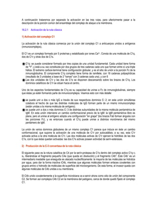 A continuación trataremos por separado la activación en las tres rutas, para ulteriormente pasar a la
descripción de la porción común del ensamblaje del complejo de ataque a la membrana.
16.2.1 Activación de la ruta clásica
1) Activación del complejo C1
La activación de la ruta clásica comienza por la unión del complejo C1 a anticuerpos unidos a antígenos
(inmunocomplejos).
El C1 es un complejo formado por 5 proteínas y estabilizado por iones Ca2+. Consta de una molécula de C1q,
dos de C1r y otras dos de C1s.
C1q: se puede considerar formado por tres copias de una unidad fundamental. Cada unidad tiene forma
de "Y", y está a su vez constituida por dos grupos de tres cadenas cada uno que forman entre sí una triple
hélice. El extremo carboxi-terminal tiene configuración globular, y es el sitio de unión a la porción Fc de la
inmunoglobulina. El componente C1q completo tiene forma de ramillete, con 18 cadenas polipeptídicas
(resultado de 3 unidades a base de 2 "ramas" con 3 cadenas cada una), y con 6
Las dos unidades de C1r y las dos de C1s se disponen descansando sobre los brazos de C1q. Los
dominios catalíticos de C1r se sitúan hacia el centro.
Uno de los aspectos fundamentales de C1q es su capacidad de unirse a Fc de inmunoglobulinas, siempre
que éstas ya estén formando parte de inmunocomplejos. Veamos esto con más detalle:
se puede unir a dos o más IgG a través de sus respectivos dominios C 2; en esta unión simultánea
colabora el hecho de que las distintas moléculas de IgG forman parte de un mismo inmunocomplejo
(están unidas a la misma molécula de antígeno).
se puede unir a dos o más dominios C 3 de distintas subunidades de la misma molécula pentamérica de
IgM. En esta unión interviene un cambio conformacional previo de la IgM: la IgM pentamérica libre es
plana, pero al unirse al antígeno adopta una configuración "en grapa" (los brazos Fab forman ángulos con
las porciones Fc), y es entonces cuando el C1q puede unirse a distintos monómeros del mismo
pentámero de IgM.
La unión de varios dominios globulares de un mismo complejo C1 parece que induce en éste un cambio
conformacional, que supone la activación de una molécula de C1r por autocatálisis; a su vez, esta C1r
activada activa a la otra molécula de C1r. Las dos moléculas activas de C1r ejercen la hidrólisis de las dos
C1s, con lo que éstas quedan activadas: las dos C1s activas poseen actividad de serín-esterasas.
2) Producción de la C-3 convertasa de la ruta clásica
El siguiente paso es la rotura catalítica de C4 por la serín-proteasa de C1s dentro del complejo activo C1q r2
s2, liberándose el fragmento pequeño C4a (que queda en disolución) y el fragmento C4b*. Este C4b* es un
intermediario inestable que enseguida es atacado nucleofílicamente: la mayoría de las moléculas se hidroliza
por agua, para dar la forma inactiva iC4b, mientras que algunas moléculas forman enlaces covalentes con
grupos amino o hidroxilo de moléculas de superficie del microorganismo. De esta forma, el invasor queda con
algunas moléculas de C4b unidas a su membrana.
El C4b unido covalentemente a la superficie microbiana va a servir ahora como sitio de unión del componente
C2. Se forman así complejos C4b C2 en la membrana del patógeno, cerca de donde quedó fijado el complejo
C1.
 