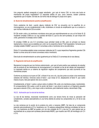 Una pregunta asaltará enseguida al sagaz estudiante: ¿por qué el mismo C3b* no inicia ese bucle en
membranas del propio hospedador? La respuesta estriba en que, como veremos, existen proteínas
reguladoras que lo impiden. Se trata de una forma más de distinguir lo propio de lo ajeno.
2) Bucle de retroalimentación positiva (amplificación)
Como acabamos de decir, cuando alguna molécula de C3b* se encuentra con la superficie de un
microorganismo, se une covalentemente a ella, iniciándose un circuito de amplificación que va a conducir a
que muchas moléculas de C3b se anclen.
El C3b recién unido a la membrana microbiana sirve para que espontáneamente se una a él el factor B. El
resultante complejo C3bB es a su vez sustrato del factor D, que es otra serín-proteasa, la cual rompe el B
unido, generando el complejo activo C3bBb.
El complejo C3bBb es una C-3 convertasa (cuya actividad reside en Bb), pero en principio se disocia
rápidamente a menos que se estabilice por unión con la properdina (factor P del hospedador), formando ya el
complejo estable C3bBbP, que es la C-3 convertasa unida a membrana de la ruta alternativa.
Dicha C-3 convertasa estable rompe numerosas moléculas de C3, cuyos respectivos fragmentos grandes C3b
tienden a unirse cerca de la misma convertasa unida a membrana.
Este bucle de retroalimentación se activa igualmente por la C4b2a (C-3 convertasa de la ruta clásica).
3) Regulación del bucle de amplificación
Recojamos la pregunta que nos hicimos anteriormente: ¿por qué el bucle positivo que acabamos de estudiar
sólo se produce en las membranas de microorganismos y no también en las de las células del hospedador?
La respuesta estriba en un sistema de regulación negativa del complemento que está ocurriendo en las
membranas propias:
Conforme se produce en el suero el C3b*, el factor H se une a él, y los dos juntos se anclan a las membranas
celulares del individuo. Entonces actúa el factor I, que rompe al C3, desplazando al factor H, que vuelve
intacto al suero, listo para ejercer otra vez su acción.
Inmediatamente, el factor I vuelve a actuar sobre el solitario C3b unido a la membrana propia, inactivándolo.
El correspondiente iC3b vuelve a sufrir la acción del factor I, que ahora lo escide en un fragmento pequeño
que pasa a solución (C3c), y otro mayor unido a membrana, pero totalmente inactivo, denominado C3dg.
16.2.3 Activación por la ruta de las lectinas
La ruta de las lectinas, reconocida recientemente como una tercera forma de iniciar la activación del
complemento, consiste esencialmente en una forma distinta de activar los componentes C2 y C4 de la ruta
clásica.
La ruta comienza por la acción de la proteína de unión a mananos (MBP). Se trata de un componente
parecido estructuralmente al C1q: hexámeros con 18 cadenas polipeptídicas idénticas enrolladas de tres en
tres. Los hexámeros de MBP se pueden unir con dos unidades de C1r y dos de C1s, pero parece que va
acompañada de su propia serín-proteasa (denominada MASP), que muestra casi 40% de homología con C1r
o C1s.
 
