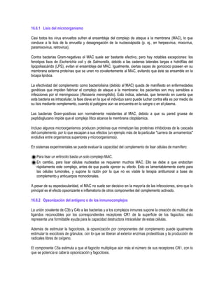 16.6.1 Lisis del microorganismo
Casi todos los virus envueltos sufren el ensamblaje del complejo de ataque a la membrana (MAC), lo que
conduce a la lisis de la envuelta y desagregación de la nucleocápsida (p. ej., en herpesvirus, mixovirus,
paramixovirus, retrovirus).
Contra bacterias Gram-negativas el MAC suele ser bastante efectivo, pero hay notables excepciones: los
fenotipos lisos de Escherichia coli y de Salmonella, debido a las cadenas laterales largas e hidrófilas del
lipopolisacárido (LPS), evitan el ensamblaje del MAC. Igualmente, ciertas cepas de gonococo poseen en su
membrana externa proteínas que se unen no covalentemente al MAC, evitando que éste se ensamble en la
bicapa lipídica.
La efectividad del complemento como bacteriolisina (debido al MAC) queda de manifiesto en enfermedades
genéticas que impiden fabricar el complejo de ataque a la membrana: los pacientes son muy sensibles a
infecciones por el meningococo (Neisseria meningitidis). Esto indica, además, que teniendo en cuenta que
esta bacteria es intracelular, la fase clave en la que el individuo sano puede luchar contra ella es por medio de
su lisis mediante complemento, cuando el patógeno aún se encuentra en la sangre o en el plasma.
Las bacterias Gram-positivas son normalmente resistentes al MAC, debido a que su pared gruesa de
peptidoglucano impide que el complejo lítico alcance la membrana citoplásmica.
Incluso algunos microorganismos producen proteínas que mimetizan las proteínas inhibidoras de la cascada
del complemento, por lo que escapan a sus efectos (un ejemplo más de la particular "carrera de armamentos"
evolutiva entre organismos superiores y microorganismos).
En sistemas experimentales se puede evaluar la capacidad del complemento de lisar células de mamífero:
Para lisar un eritrocito basta un solo complejo MAC.
En cambio, para lisar células nucleadas se requieren muchos MAC. Ello se debe a que endocitan
rápidamente este complejo, antes de que pueda ejercer su efecto. Esto es lamentablemente cierto para
las células tumorales, y supone la razón por la que no es viable la terapia antitumoral a base de
complemento y anticuerpos monoclonales.
A pesar de su espectacularidad, el MAC no suele ser decisivo en la mayoría de las infeccciones, sino que lo
principal es el efecto opsonizante e inflamatorio de otros componentes del complemento activado.
16.6.2 Opsonización del antígeno o de los inmunocomplejos
La unión covalente de C3b y C4b a las bacterias y a los complejos inmunes supone la creación de multitud de
ligandos reconocibles por los correspondientes receptores CR1 de la superficie de los fagocitos: esto
representa una formidable ayuda para la capacidad destructora intracelular de estas células.
Además de estimular la fagocitosis, la opsonización por componentes del complemento puede igualmente
estimular la exocitosis de gránulos, con lo que se liberan al exterior enzimas proteolíticas y la producción de
radicales libres de oxígeno.
El componente C5a estimula a que el fagocito multiplique aún más el número de sus receptores CR1, con lo
que se potencia si cabe la opsonización y fagocitosis.
 