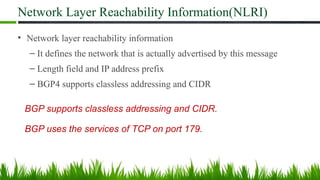 Network Layer Reachability Information(NLRI)
• Network layer reachability information
– It defines the network that is actually advertised by this message
– Length field and IP address prefix
– BGP4 supports classless addressing and CIDR
BGP supports classless addressing and CIDR.
BGP uses the services of TCP on port 179.
 