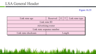 LSA General Header
Figure 16.35
 