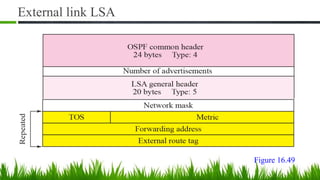 External link LSA
Figure 16.49
 