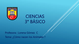 CIENCIAS
3° BÁSICO
Profesora : Lorena Gómez C
Tema: ¿Cómo nacen los Animales ?
 