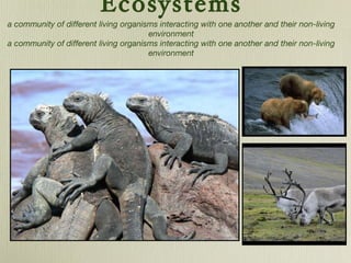 Ecosystems a community of different living organisms interacting with one another and their non-living environment a community of different living organisms interacting with one another and their non-living environment 