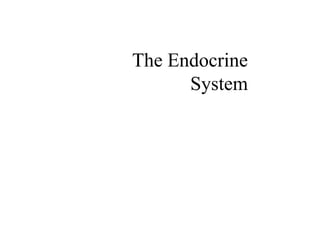The Endocrine 
System 
 