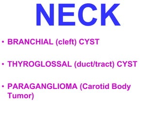 NECK 
• BRANCHIAL (cleft) CYST 
• THYROGLOSSAL (duct/tract) CYST 
• PARAGANGLIOMA (Carotid Body 
Tumor) 
 