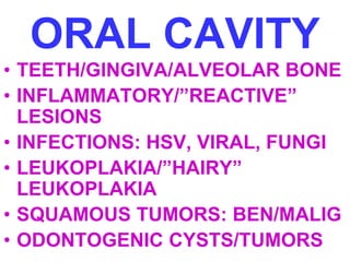 ORAL CAVITY 
• TEETH/GINGIVA/ALVEOLAR BONE 
• INFLAMMATORY/”REACTIVE” 
LESIONS 
• INFECTIONS: HSV, VIRAL, FUNGI 
• LEUKOPLAKIA/”HAIRY” 
LEUKOPLAKIA 
• SQUAMOUS TUMORS: BEN/MALIG 
• ODONTOGENIC CYSTS/TUMORS 
 
