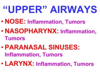 “UPPER” AIRWAYS 
• NOSE: Inflammation, Tumors 
• NASOPHARYNX: Inflammation, 
Tumors 
• PARANASAL SINUSES: 
Inflammation, Tumors 
• LARYNX: Inflammation, Tumors 
 