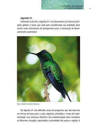99
Agenda 21
Instituída na Eco-92, a Agenda 21 é um documento com diversos prin-
cípios globais e locais que cada país, considerando sua realidade, deve
utilizar como instrumento de planejamento para a construção do desen-
volvimento sustentável.
Na Agenda 21 são definidas áreas de programas que são descritas
em termos de bases para a ação, objetivos, atividades e meios de imple-
mentação, num processo dinâmico. Sua implementação deve considerar
as diferentes situações, capacidades e prioridades dos países e regiões. A
4. CONCEITOS E INSTRUMENTOS
PARA A GESTÃO AMBIENTAL
Foto: Adolfo Vinicios Tavares.
 