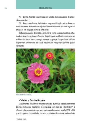 104
V.	 Limite, fixando parâmetros em função da necessidade de prote-
ção ambiental;
VI.	 Responsabilidade, incluindo a responsabilização pelos danos ao
meio ambiente, de modo que o poluidor deve responder por suas ações ou
omissões em prejuízo do meio ambiente;
Poluidor-pagador, de modo a eliminar o custo ao poder público, afas-
tando o ônus do custo econômico e dirigi-lo para o utilizador dos recursos
ambientais. Desta forma, assegura-se que os preços dos produtos reflitam
os prejuízos ambientais, para que a sociedade não pague por eles poste-
riormente.
Cidades e Gestão Urbana
Atualmente, existem no mundo cerca de duzentas cidades com mais
de meio milhão de habitantes e outras dez com mais de 10 milhões64
. O
número é bem maior do que seus correspondentes nos século XVIII e XIX
quando apenas cinco cidades tinham populações de mais de meio milhão:
Foto: Gabriela Grizzo.
64
BURNIE, 2007.
GESTÃO AMBIENTAL
 