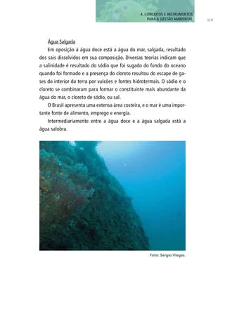 Água Salgada
Em oposição à água doce está a água do mar, salgada, resultado
dos sais dissolvidos em sua composição. Diversas teorias indicam que
a salinidade é resultado do sódio que foi sugado do fundo do oceano
quando foi formado e a presença do cloreto resultou do escape de ga-
ses do interior da terra por vulcões e fontes hidrotermais. O sódio e o
cloreto se combinaram para formar o constituinte mais abundante da
água do mar, o cloreto de sódio, ou sal.
O Brasil apresenta uma extensa área costeira, e o mar é uma impor-
tante fonte de alimento, emprego e energia.
Intermediariamente entre a água doce e a água salgada está a
água salobra.
Foto: Sérgio Viegas.
119
4. CONCEITOS E INSTRUMENTOS
PARA A GESTÃO AMBIENTAL
 