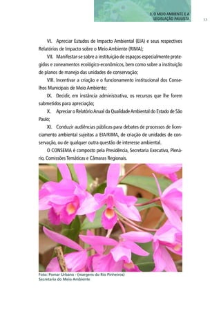 VI.	 Apreciar Estudos de Impacto Ambiental (EIA) e seus respectivos
Relatórios de Impacto sobre o Meio Ambiente (RIMA);
VII.	 Manifestar-se sobre a instituição de espaços especialmente prote-
gidos e zoneamentos ecológico-econômicos, bem como sobre a instituição
de planos de manejo das unidades de conservação;
VIII.	Incentivar a criação e o funcionamento institucional dos Conse-
lhos Municipais de Meio Ambiente;
IX.	 Decidir, em instância administrativa, os recursos que lhe forem
submetidos para apreciação;
X.	 Apreciar o RelatórioAnual da QualidadeAmbiental do Estado de São
Paulo;
XI.	 Conduzir audiências públicas para debates de processos de licen-
ciamento ambiental sujeitos a EIA/RIMA, de criação de unidades de con-
servação, ou de qualquer outra questão de interesse ambiental.
O CONSEMA é composto pela Presidência, Secretaria Executiva, Plená-
rio, Comissões Temáticas e Câmaras Regionais.
Foto: Pomar Urbano - (margens do Rio Pinheiros)
Secretaria do Meio Ambiente
53
3. O MEIO AMBIENTE E A
LEGISLAÇÃO PAULISTA
 