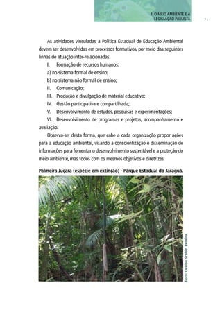71
As atividades vinculadas à Política Estadual de Educação Ambiental
devem ser desenvolvidas em processos formativos, por meio das seguintes
linhas de atuação inter-relacionadas:
I.	 Formação de recursos humanos:
a) no sistema formal de ensino;
b) no sistema não formal de ensino;
II.	 Comunicação;
III.	 Produção e divulgação de material educativo;
IV.	 Gestão participativa e compartilhada;
V.	 Desenvolvimento de estudos, pesquisas e experimentações;
VI.	 Desenvolvimento de programas e projetos, acompanhamento e
avaliação.
Observa-se, desta forma, que cabe a cada organização propor ações
para a educação ambiental, visando à conscientização e disseminação de
informações para fomentar o desenvolvimento sustentável e a proteção do
meio ambiente, mas todos com os mesmos objetivos e diretrizes.
Palmeira Juçara (espécie em extinção) - Parque Estadual do Jaraguá.
Foto:DeniseScabinPereira.
3. O MEIO AMBIENTE E A
LEGISLAÇÃO PAULISTA
 