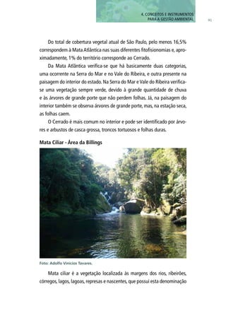 91
Do total de cobertura vegetal atual de São Paulo, pelo menos 16,5%
correspondem à Mata Atlântica nas suas diferentes fitofisionomias e, apro-
ximadamente, 1% do território corresponde ao Cerrado.
Da Mata Atlântica verifica-se que há basicamente duas categorias,
uma ocorrente na Serra do Mar e no Vale do Ribeira, e outra presente na
paisagem do interior do estado. Na Serra do Mar e Vale do Ribeira verifica-
se uma vegetação sempre verde, devido à grande quantidade de chuva
e às árvores de grande porte que não perdem folhas. Já, na paisagem do
interior também se observa árvores de grande porte, mas, na estação seca,
as folhas caem.
O Cerrado é mais comum no interior e pode ser identificado por árvo-
res e arbustos de casca grossa, troncos tortuosos e folhas duras.
Mata ciliar é a vegetação localizada às margens dos rios, ribeirões,
córregos, lagos, lagoas, represas e nascentes, que possui esta denominação
Mata Ciliar - Área da Billings
Foto: Adolfo Vinícios Tavares.
4. CONCEITOS E INSTRUMENTOS
PARA A GESTÃO AMBIENTAL
 