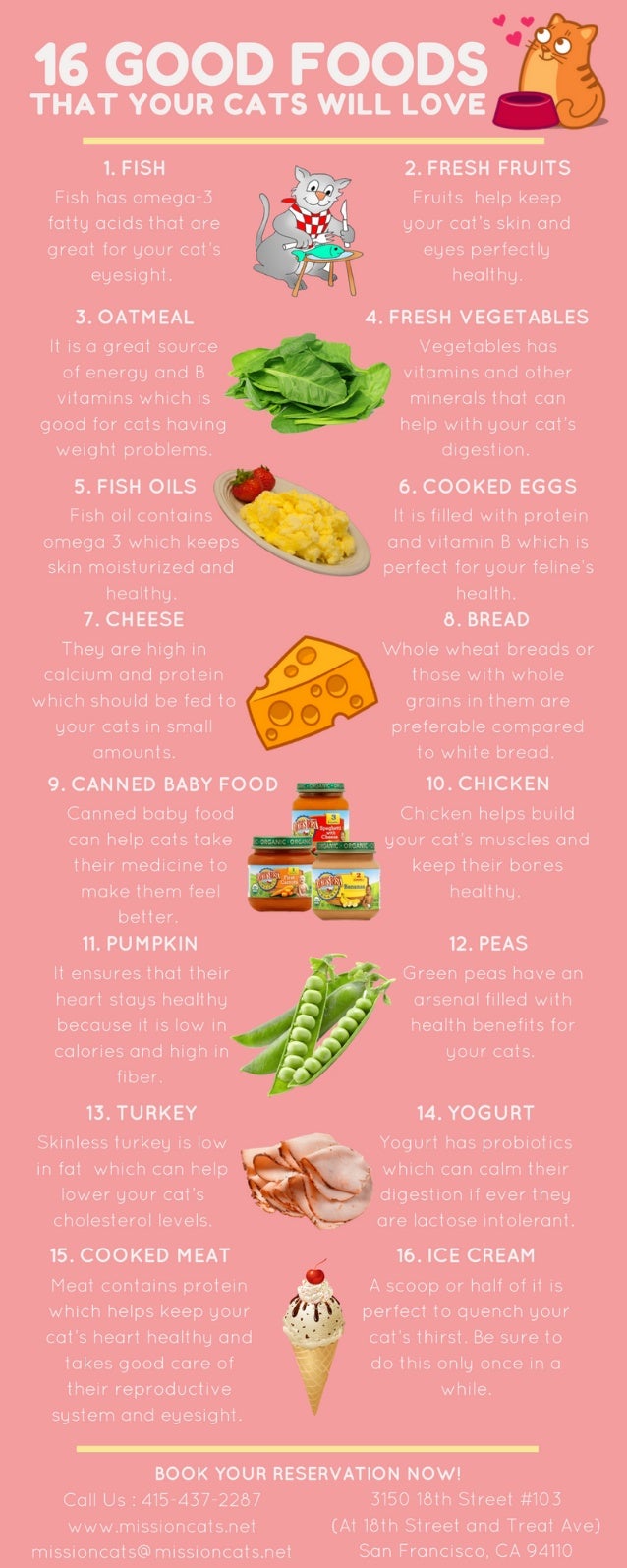 16 Good Foods That Your Cats Will Love