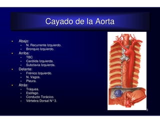 Cayado de la Aorta
Cayado de la Aorta
Abajo:
• N. Recurrente Izquierdo.
• Bronquio Izquierdo.
Arriba:
• TBC
• Carótida Izquierda.
• Subclavia Izquierda.
Delante:
• Frénico Izquierdo.
• N. Vagos.
• Pleura.
Atrás:
• Tráquea.
• Esófago.
• Conducto Torácico.
• Vértebra Dorsal N° 3.
3
