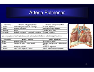 Arteria Pulmonar
Arteria Pulmonar
5