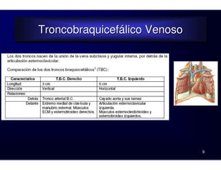 Troncobraquicefálico Venoso
Troncobraquicefálico Venoso
9