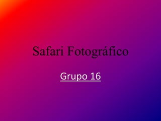 Safari Fotográfico
Grupo 16
 