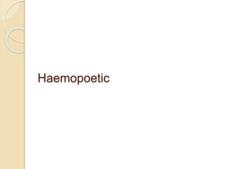 Haemopoetic
 