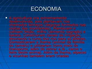 ECONOMIAECONOMIA
 A agricultura era extremamenteA agricultura era extremamente
desenvolvida, pois plantavam nosdesenvolvida, pois plantavam nos
chamados terraços (degraus formados naschamados terraços (degraus formados nas
costas das montanhas). Plantavam ecostas das montanhas). Plantavam e
colhiam feijão, milho (alimento sagrado) ecolhiam feijão, milho (alimento sagrado) e
batata. Construíram canais de irrigação,batata. Construíram canais de irrigação,
desviando o curso dos rios para as aldeias.desviando o curso dos rios para as aldeias.
Domesticaram a lhama (animal da famíliaDomesticaram a lhama (animal da família
do camelo) e utilizaram como meio dedo camelo) e utilizaram como meio de
transporte, além de retirar a lã , carne etransporte, além de retirar a lã , carne e
leite deste animal. Além da lhama, alpacasleite deste animal. Além da lhama, alpacas
e vicunhas também eram criadase vicunhas também eram criadas
 