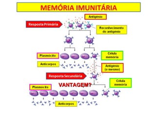 MEMÓRIA IMUNITÁRIA VANTAGEM? 