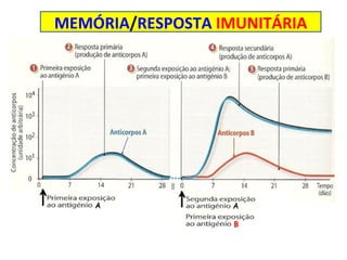 MEMÓRIA / RESPOSTA  IMUNITÁRIA 