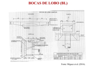 BOCAS DE LOBO (BL)
Fonte: Miguez et al. (2016).
 