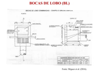 BOCAS DE LOBO (BL)
Fonte: Miguez et al. (2016).
 