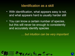 11
Identification as a skill
• With identification, what appears easy is not,
and what appears hard is usually harder still
• You can know a certain number of species,
but this will never be enough to consistently
and accurately identify species
… but intuition can be very important
 