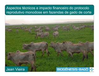 Aspectos técnicos e impacto financeiro do protocolo
reprodutivo monodose em fazendas de gado de corte




Jean Vieira
 