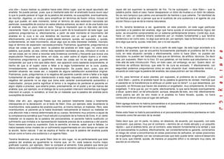 una cita— busca realizar su palabra hacia este último lugar, que es aquel apuntado del          rayos del sol suprimen la sensación de frío. Ya he subrayado — dice Stein— que la
analista. Se puede pensar, pues, que si mediante este don al analizado busca reunir aquí        palabra podía, dado el caso, hacer desaparecer un dolor de muelas a un dolor de cabeza.
lo que lo puede parecer el lugar de la palabra del analista, es susceptible, eventualmente,     No es raro tampoco que calme una sensación de hambre o que caliente. Tal identidad de
de inscribir, digamos, un vivido, para simplifi car en términos de fusión mítica, incluso en    los hechos podría dar a pensar que es el sustituto de una sustancia o el agente de una
algo que puede, en este momento, tomar el término de esta extensión narcisista tan              acción física o que es de la misma naturaleza.
particular, susceptible de concluir en estos efectos extremos, es decir, el de una fusión con
el analista. Hay un poco más en es to. Tengo la impresión que no dije esto del todo             En fin, tendría tendencia a ver, igualmente, en esta posición, en este lugar particular
claramente. Vean, lo que quiero decir es que a partir de la localización de este lugar, que     acordado a la palabra del analista, algo que haría quizás el encaminamiento lógico del
podemos preguntarnos si, efectivamente, a partir de este momento el movimiento del              autor, se encuentre comprometido en un sistema perfectamente binario. Conté dijo, dual,
analista en la cura o es una tentativa de reunirse con un lugar a partir del cual,              hace un rato: un sistema binario sostenido por un modelo fundamental y que tendría
efectivamente, una fusión mítica puede desde siempre, quizás, ser supuesta, y, quizás,          tendencia a ver como esto, no algo que sería así, por ejemplo, bajo la fórmula ser o no ser,
evidentemente, en este movimiento, situar algo que es este bienestar inefable, inscripto        sino algo que sería, quizás, más bien, ser o no ser aquello.
bajo el término de expansión narcisista primaria. Podríamos, igualmente, preguntarnos si
situar las cosas así, quiero decir, la palabra del analista en este lugar, no viene esta        En fin, le preguntaría también si no es a partir de este lugar, de este lugar acordado a la
palabra, que puede, ya sea, colmar esta represión narcisista ya sea, introducir el corte, si    palabra del analista, que se encuentra forzosamente planteado el problema del fin de la
ver las cosas así no viene a recordar esta bivalencia corriente y frecuente que evoca una       cura, en esta situación cerrada o efectivamente, como lo hace Stein, no pueden ser
especulación frecuente que tiene, sin duda, su valor sobre el objeto bueno y el malo.           inscriptos, no pueden ser traducidos más que en términos, de artificio, técnicos. De decir
Podríamos preguntarnos si, igualmente, situar las cosas así no es algo que permite              que, por supuesto, Stein no lo hizo. En sus palabras, en los textos que estudiamos no va
comprender por qué a mis ojos debo decir, eso apareció como bastante sorprendente, el           más allá de esta introducción. Pero, en todo caso, sin embargo, es as í. Quiero decir, en
hecho de que si el sujeto viene a faltar a la regla fundamental en la cura, pueda,              términos de artificios técnicos, que este fin de cura es evocado. Y efectivamente, con
inmediatamente, sentirse culpable de masturbación. Se puede decir, pues, que ahí                seguridad podemos preguntarnos cómo en esta situación dual, relativamente inmóvil, y
también situando las cosas así, o culpable de alguna satisfacción autoerótica original.         situando en este lugar la palabra del analista, las cosas podría n ser tan diferentes.
Podríamos, pues, preguntarnos si la negativa del paciente cuando viene a faltar a la regla
fundamental de perder algo obedeciendo a esta regla impuesta por el análisis, si esta           En fin, para terminar el autor plantea, por supuesto, el problema de la verdad. ¿Cómo
negativa del paciente no es algo que toma este carácter eventualmente autoerótico o             —dice Stein— podría, el analista hacer de su palabra la garantía de verdad, mientras que
masturbador, porque podría significar el temor o la negativa de perderse el paciente en         el paciente en la transferencia le atribuye un poder que no tiene?. Lo que desemboca, por
algún objeto a precisar, que estaría preso, precisamente, en el poder y en las manos del        supuesto, en fórmulas que hacen del analista un engañador, muy simplemente, él mismo
analista, que, por ejemplo, en el diálogo de la cura pueden intervenir elementos que hagan      engañado. Y diría que es, por mi parte, efectivamente, lo que sería llevado eventualmente
intervenir el cuerpo, lo somático, al nivel de un malestar que la palabra del analista sería    a situar, quiero decir, en tal articulación, aunque, después de todo, veo mal, efectivamente,
susceptible de levantar.                                                                        cómo podría ser ahí de otro modo si el analista no fuera llevado, quizás, no fuera
                                                                                                conducido a llevar otra cosa al lugar del señuelo.
Debo citar ahí, aún, algunas frases que me parecen totalmente claras y totalmente
interesantes en la declaración, en el texto de Stein. Dice, por ejemplo, esta: levantando la    Stein agrega todavía no habría psicoanálisis si el psicoanalista, pretendiera plantearse en
incertidumbre, esta palabra del analista suprime, al mismo tiempo, el malestar. Pero, esta      todo momento como fiel servidor de la verdad.
incertidumbre, al paciente ya la habla levantado radicalmente al traducir su malestar en
una afección más o menos determinada de su cuerpo, fenómeno muy próximo a aquel de              Releo esta frase no habría psicoanálisis si el psicoanalista pretendiera plantearse en todo
la complacencia somática que Freud estudió a propósito de la historia de D ora. A un cierto     momento como fiel servidor de la verdad.
malestar en la espera de la palabra del psicoanalista, el paciente habría sustituído un
sufrimiento que invitaba a la representación bastante precisa de la sustancia o del acento      Debo decir que, por mi parte, no estoy, en absoluto, de acuerdo, por supuesto, con esta
físico necesario para su supresión. Esto le permitía, al menos, saber qué le faltaba. Le        conclusión, que pienso, muy por el contrario —termino de un modo abrupto y un poquitito
había bastado tomar modelo de un sufrimiento experimentado en otro tiempo en razón de           rápido— que el análisis tiene, por al contrario, esta relación fundamental a la verdad y que
la acción, factor natural. Y así se explica el hecho de que la palabra del analista pueda       si el psicoanalista no pudiera, efectivamente, ser constantemente su garante, correríamos
actuar como si fuera una sustancia o un agente físico.                                          el riesgo de volver a encontrarnos en estas posiciones de señuelos, en estas posiciones
                                                                                                de engañador engañado con las consecuencias que esto puede tener sobre el desarrollo
Tendría tendencia, por otra parte Stein dice en otro lugar, no es perfectamente que esta        de la cura, que intenté, quizás, de manera un poquitito difícil o no siempre muy clara, de
palabra del analista es igualmente la misma que, en fin, está todavía mucho mejor               escribir en mi informe.
graficado cuando, por ejemplo, Stein la compare al alimento. Esta palabra que tiene por
efecto entrañar una modificación corporal tal como el alimento calma el hambre o como los
 