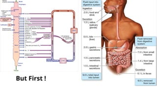 Lower Gastrointestinal Diseases and Disorders | PDF