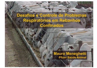 Desafios e Controle de Problemas
  Respiratórios em Rebanhos
           Confinados




                Mauro Meneghetti
                   Pfizer Saúde Animal
 