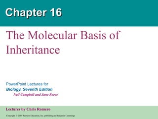 Copyright © 2005 Pearson Education, Inc. publishing as Benjamin Cummings
PowerPoint Lectures for
Biology, Seventh Edition
Neil Campbell and Jane Reece
Lectures by Chris Romero
Chapter 16
The Molecular Basis of
Inheritance
 