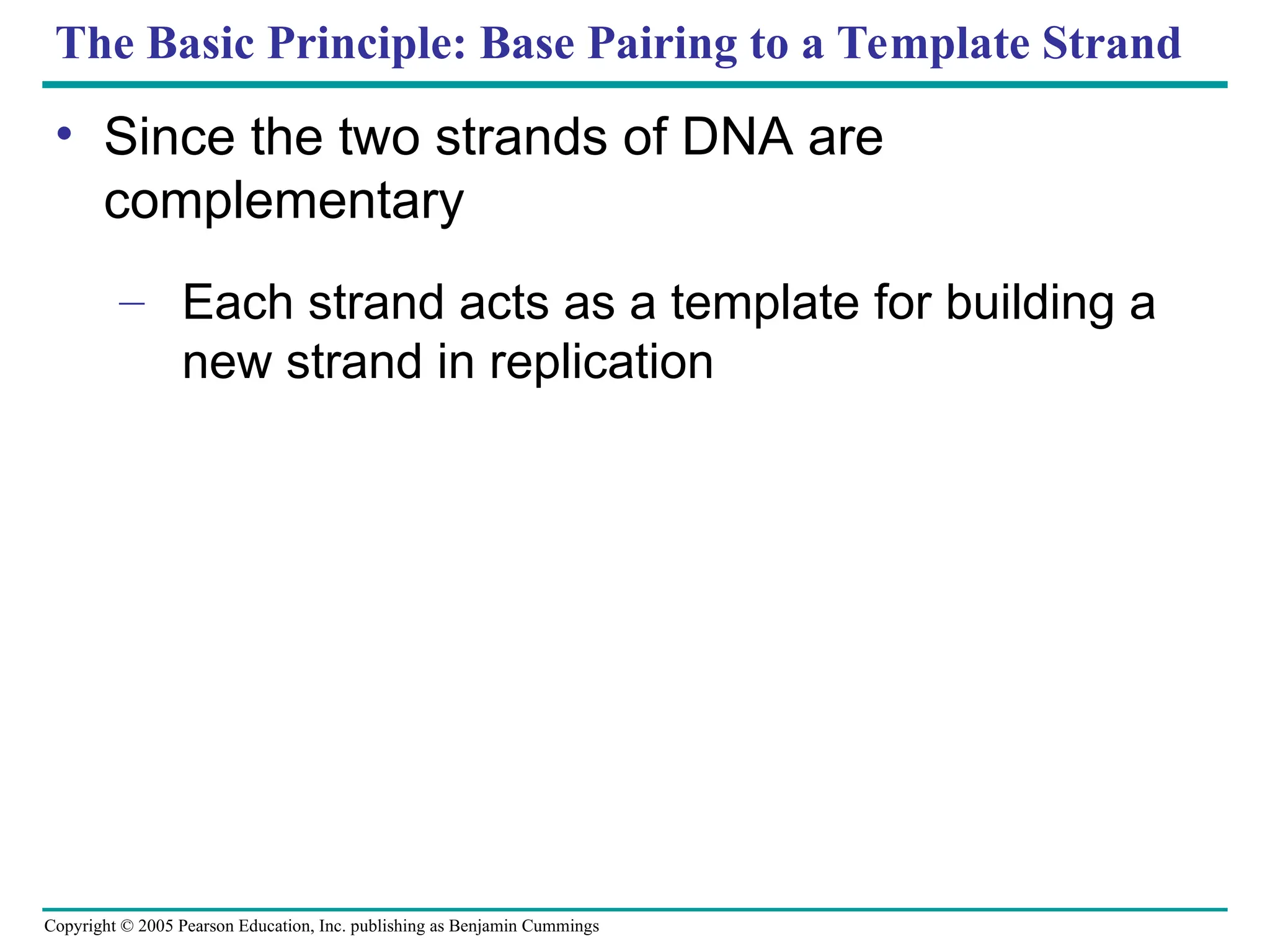 Copyright © 2005 Pearson Education, Inc. publishing as Benjamin Cummings
The Basic Principle: Base Pairing to a Template Strand
• Since the two strands of DNA are
complementary
– Each strand acts as a template for building a
new strand in replication
 