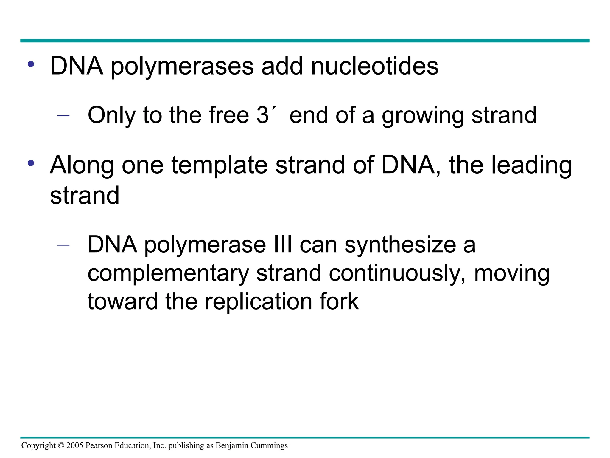 Copyright © 2005 Pearson Education, Inc. publishing as Benjamin Cummings
• DNA polymerases add nucleotides
– Only to the free 3end of a growing strand
• Along one template strand of DNA, the leading
strand
– DNA polymerase III can synthesize a
complementary strand continuously, moving
toward the replication fork
 