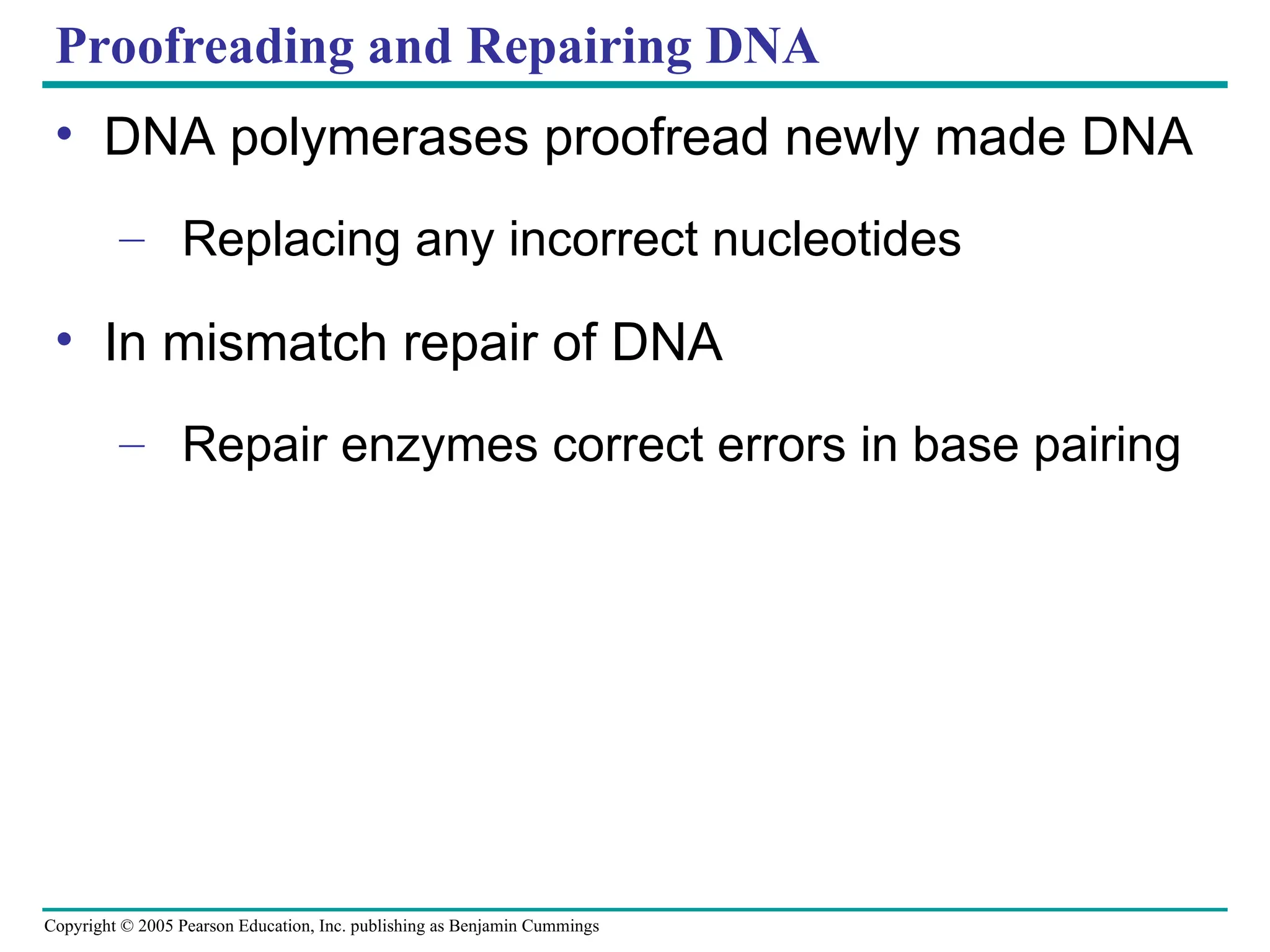 Copyright © 2005 Pearson Education, Inc. publishing as Benjamin Cummings
Proofreading and Repairing DNA
• DNA polymerases proofread newly made DNA
– Replacing any incorrect nucleotides
• In mismatch repair of DNA
– Repair enzymes correct errors in base pairing
 