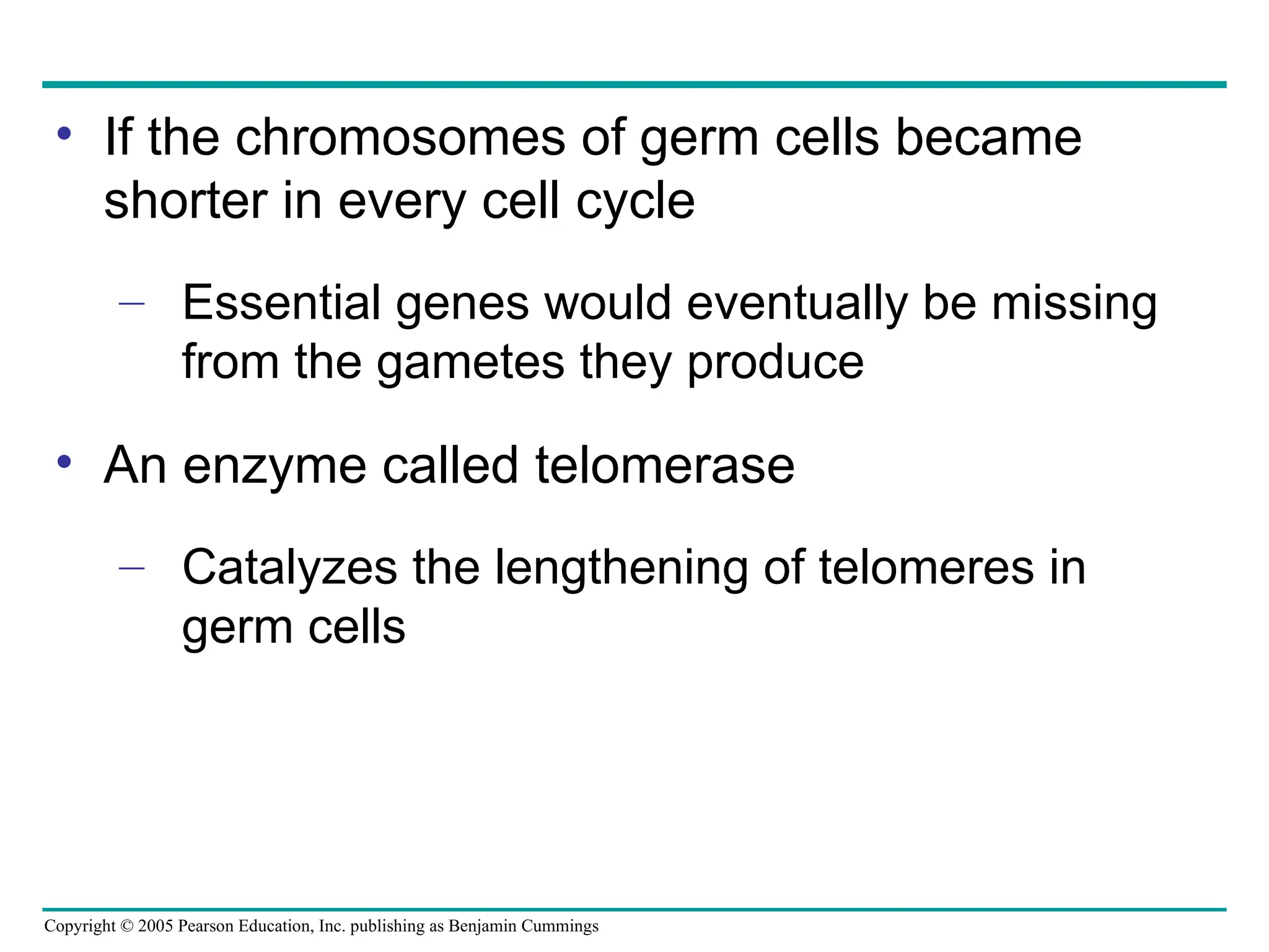 Copyright © 2005 Pearson Education, Inc. publishing as Benjamin Cummings
• If the chromosomes of germ cells became
shorter in every cell cycle
– Essential genes would eventually be missing
from the gametes they produce
• An enzyme called telomerase
– Catalyzes the lengthening of telomeres in
germ cells
 